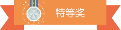 特等奖